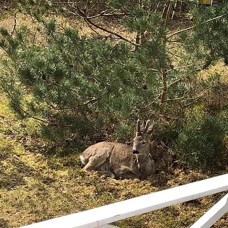 1565-aakirkeby-poserevaenget-4 Vakantiehuis *